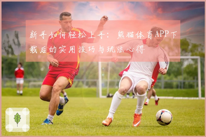 新手如何轻松上手：熊猫体育APP下载后的实用技巧与玩法心得