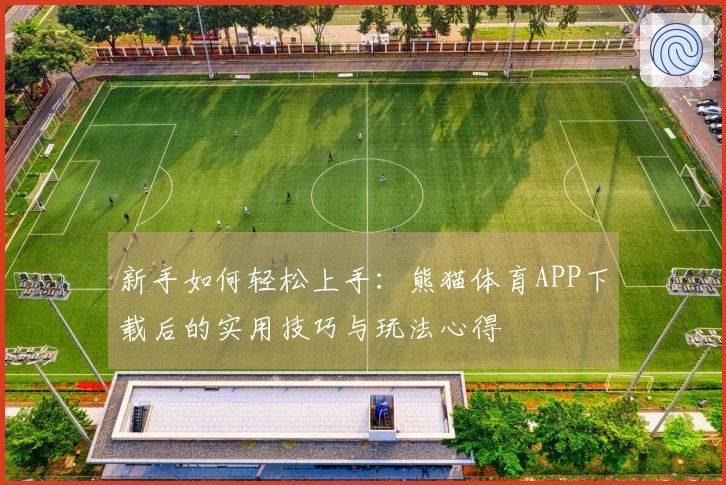 新手如何轻松上手：熊猫体育APP下载后的实用技巧与玩法心得